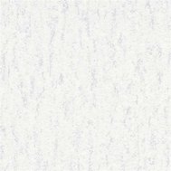 Vliesové tapety na zeď HIT 10327-01, rozměr 10,05 m x 0,53 m, crispy bílé se stříbrnými odlesky, Erismann