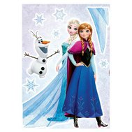 Samolepky na zeď, rozměr 50 cm x 70 cm, Disney Frozen sestry, Komar 14046