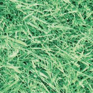 Samolepící fólie zelená tráva 45 cm x 2 m GEKKOFIX 11564 samolepící tapety