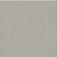 Vliesové tapety IMPOL Carat 2 10062-02, rozměr 10,05 m x 0,53 m, skandinávský design stříbrný se hnědými konturami, ERISMANN