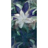 Vliesové fototapety 2269-10, rozměr 150 cm x 280 cm, květ bílo-zelený, ERISMANN