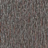 Vliesové tapety na zeď IMPOL Paradisio 2 10124-11, kůra stromu černo-hnědá, rozměr 10,05 m x 0,53 m, Erismann