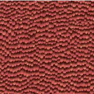 Vliesové tapety na zeď IMPOL Paradisio 2 10129-06, peříčka růžová, rozměr 10,05 m x 0,53 m, Erismann