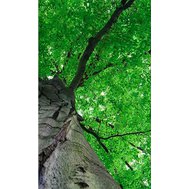 https://www.tapety-folie.cz/fotocache/bigorig_nomark/fototapety/01012.jpg