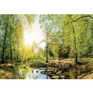 Fototapety, rozměr 254 cm x 184 cm, les s potokem, IMPOL TRADE 10508 P4