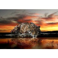 Vliesová fototapeta jaguár, rozměr 312 cm x 219 cm, fototapety IMPOL TRADE 126VE