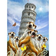 https://www.tapety-folie.cz/fotocache/bigorig_nomark/fototapety/12855V4A.jpg