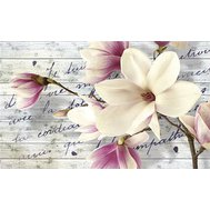Fototapety, rozměr 368 cm x 254 cm, květy magnolie, IMPOL TRADE 2878 P8