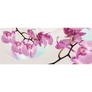 Vliesová fototapeta orchidej, rozměr 250 cm x 100 cm, fototapety IMPOL TRADE 116VE