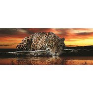 Vliesová fototapeta jaguár, rozměr 250 cm x 100 cm, fototapety IMPOL TRADE 126VE