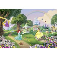 Fototapety Disney Princess , rozměr 368 cm x 254 cm, duha, Komar 8-449