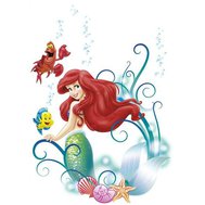 Samolepky na zeď, rozměr 50 cm x 70 cm, Disney Malá mořská víla Ariel, Komar 14013