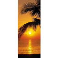 Fototapeta palma a západ slunce, rozměr 92 cm x 220 cm, fototapety Palmy Beach Sunrise KOMAR 2-1255