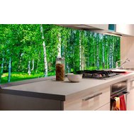 Samolepící tapety za kuchyňskou linku, rozměr 180 cm x 60 cm, březový les, DIMEX KI-180-044