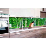 Samolepící tapety za kuchyňskou linku, rozměr 260 cm x 60 cm, březový les, DIMEX KI-260-044