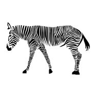 Samolepky na zeď zebra SPNB172TS, rozměr 90 x 160 cm, IMPOL TRADE