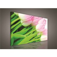 Obraz na plátně růžové tulipány 149O1, 100 x 75 cm, IMPOL TRADE