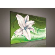 Obraz na plátně lilie na zeleném podkladu 305O1, 100 x 75 cm, IMPOL TRADE