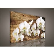 Obraz na plátně bílá orchidej na dřevě 414O1, 100 x 75 cm, IMPOL TRADE