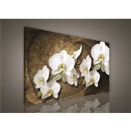 Obraz na plátně bílá orchidej na dřevěném srdci 417O1, 100 x 75 cm, IMPOL TRADE