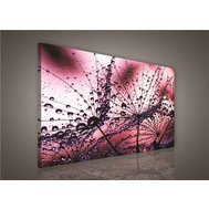 Obraz na plátně ranní rosa růžová 425O1, 100 x 75 cm, IMPOL TRADE