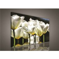 Obraz na plátně bílé květy 585O1, 100 x 75 cm, IMPOL TRADE
