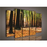 Obraz na plátně podzimní les 941S12, rozměr 150 x 100 cm, IMPOL TRADE