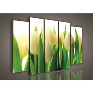 Obraz na plátně tulipány 987S12, rozměr 150 x 100 cm, IMPOL TRADE