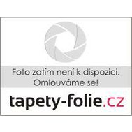 https://www.tapety-folie.cz/fotocache/bigorig_nomark/penovepanely/AR00001.jpg