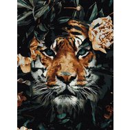 Malování podle čísel GX35628, tygr, rozměr 40 x 50 cm, Impol Trade