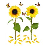 Samolepky na zeď DS 410-08, rozměr 82 cm x 105 cm, slunečnice s motýly, IMPOL TRADE